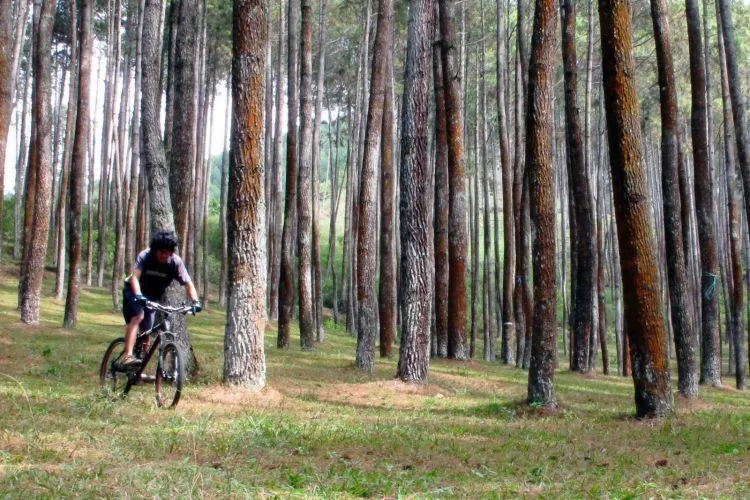 Daftar Objek Wisata di Bandung, Menyusuri Sisi Lain Kota Kembang 38