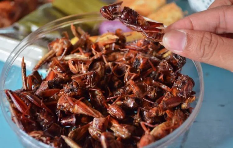 12 Sajian Kuliner Indonesia Tak Biasa yang Patut Kamu Coba 16