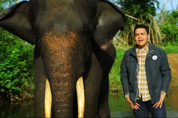 Makna Di Balik Lagu-Lagu Tulus yang Membuatmu Lebih Tangguh Dalam Hidup dan Cinta 10