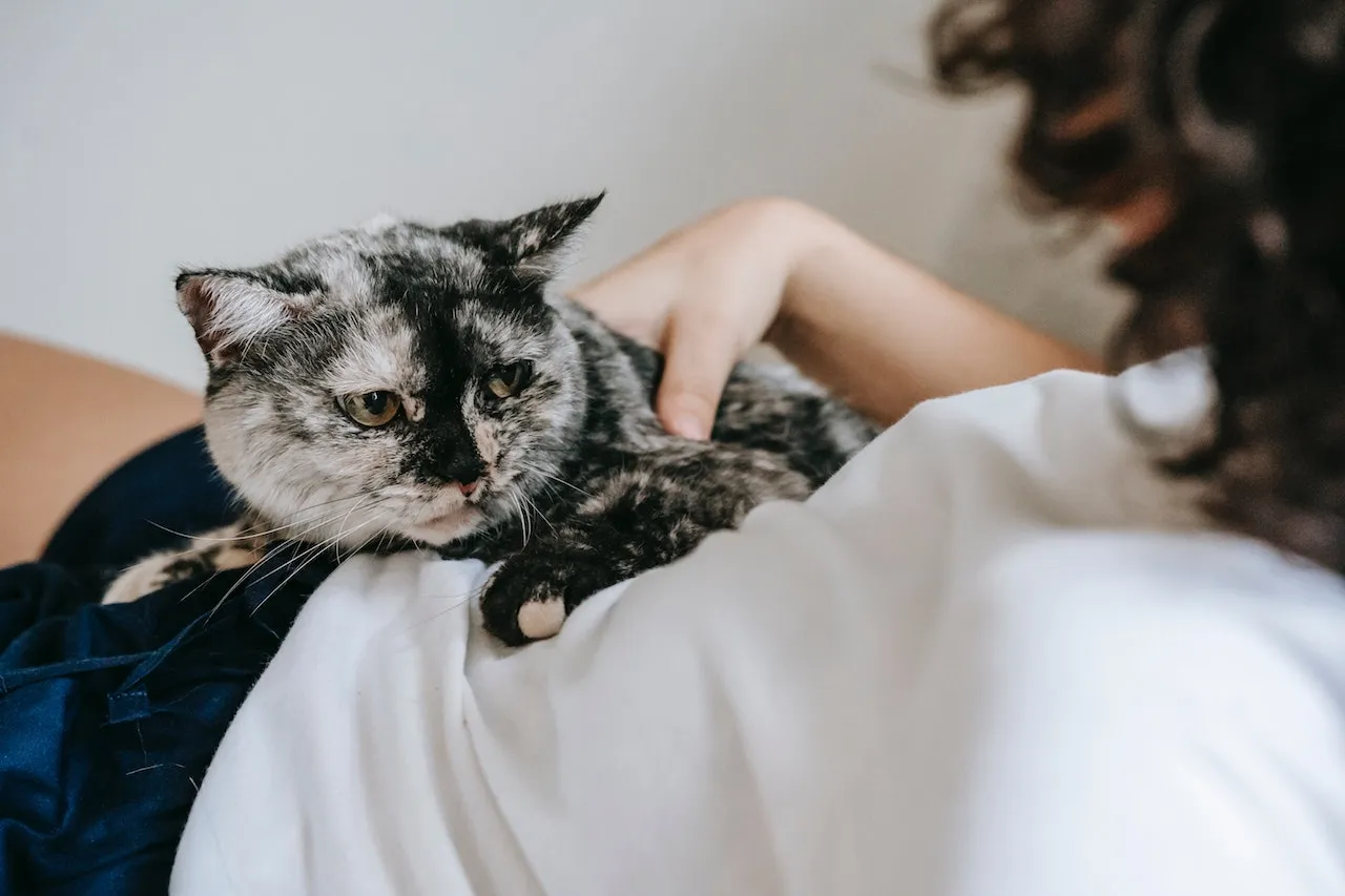 10 Tips Agar PMS dan Nyeri Haid Tak Lagi Jadi Bencana 16