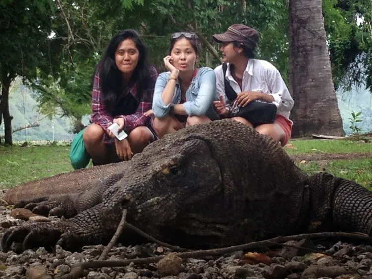 5 Hari 4 Malam Menapaki Keindahan Pulau Komodo Tanpa Bikin Kantong Belel 26