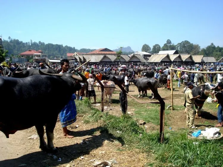 12 Pasar Unik Dari Berbagai Daerah yang Menunjukkan Betapa Kayanya Negeri Kita 16