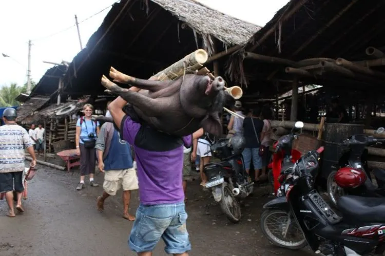 12 Pasar Unik Dari Berbagai Daerah yang Menunjukkan Betapa Kayanya Negeri Kita 15