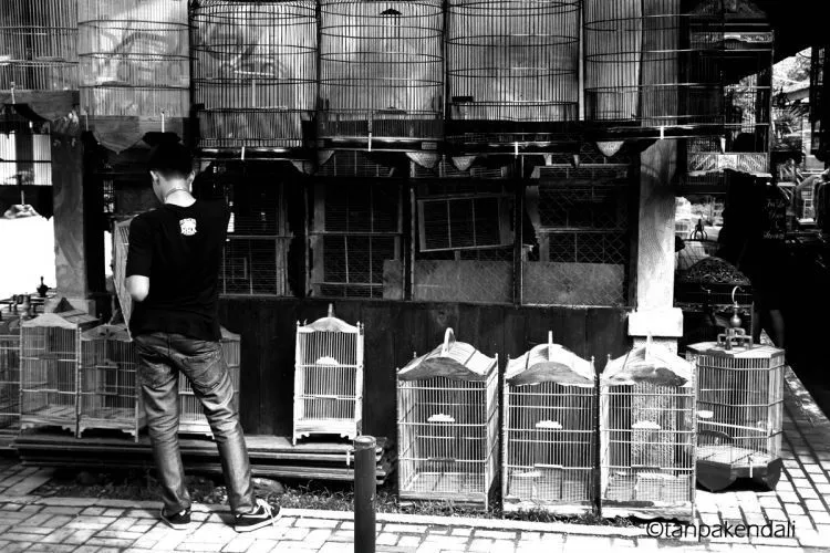 12 Pasar Unik Dari Berbagai Daerah yang Menunjukkan Betapa Kayanya Negeri Kita 19