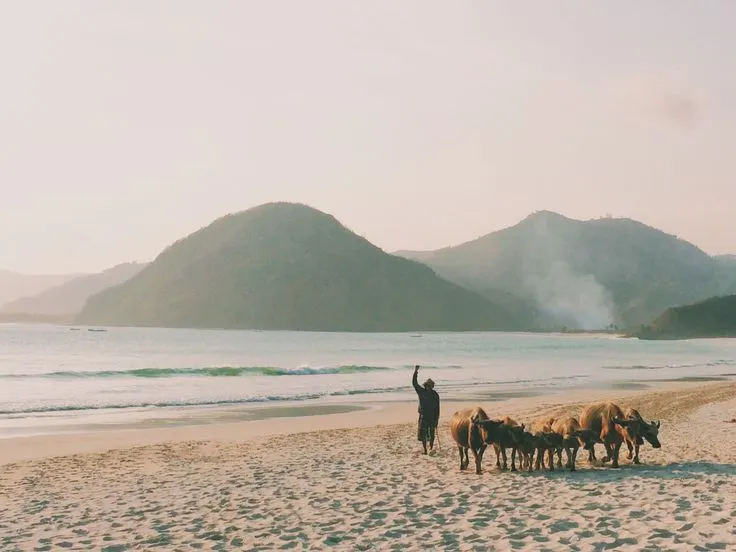 11 Destinasi Wisata Lombok, Sajikan Keindahan Alam dan Budaya 18