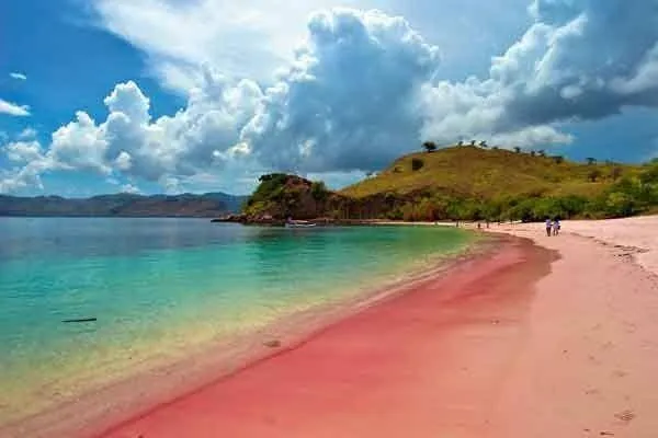 11 Destinasi Wisata Lombok, Sajikan Keindahan Alam dan Budaya 21