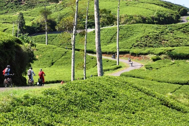 Daftar Objek Wisata di Bandung, Menyusuri Sisi Lain Kota Kembang 29