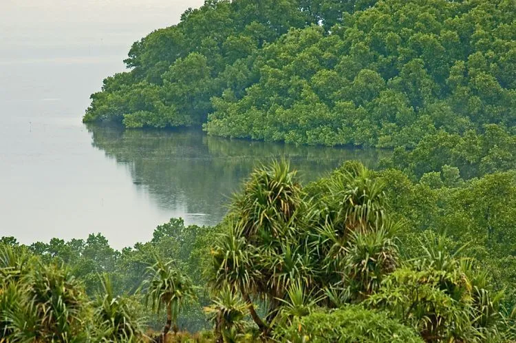 11 Destinasi Wisata Lombok, Sajikan Keindahan Alam dan Budaya 15