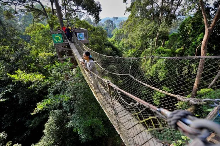 10 Tempat Wisata di Kalimantan yang Keren & Tersembunyi 15