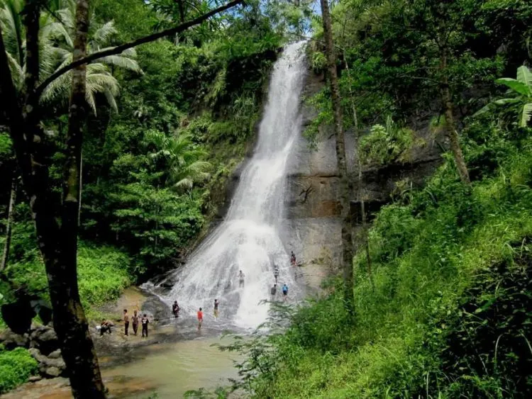 12 Destinasi Wisata di Kebumen yang Wajib Kamu Sambangi 18