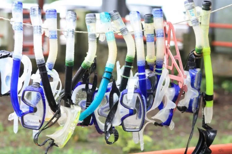 10 Tips Buat Kamu yang Baru Ingin Mencoba Snorkeling di Laut. Nggak Serem Kok! 14