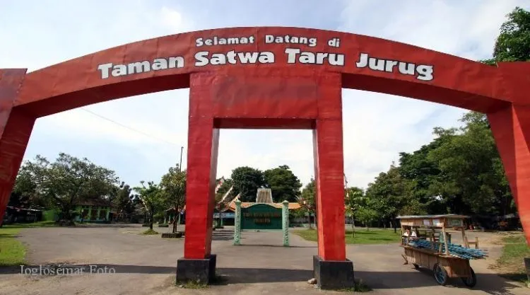 Daftar Destinasi Wisata di Solo yang Bisa Kamu Kunjungi Saat Berlibur 31