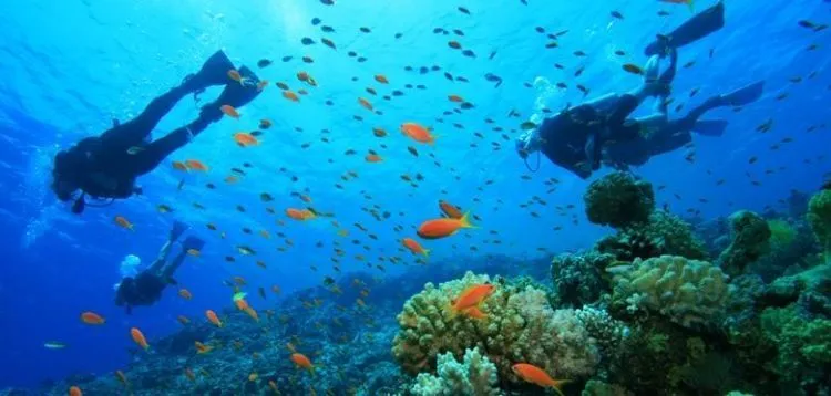 Melancong Ke Belitung, Pulau Laskar Pelangi yang Pasti Membuatmu Jatuh Hati 25