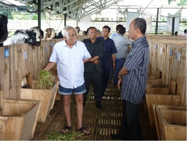 9 Prinsip Gila Bob Sadino yang Tak Hanya Menjadikannya Kaya, Namun Juga Berguna Sebagai Manusia 15