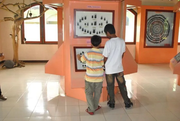 Keindahan Terselubung Purbalingga yang Menanti Untuk Kamu Telusuri 26