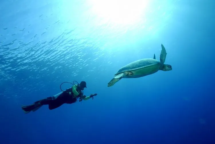 Kepulauan Derawan: Nirwana Kecil di Muka Bumi yang Menunggu Untuk Kamu Jelajahi 30
