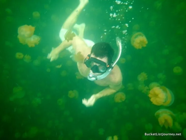 Kepulauan Derawan: Nirwana Kecil di Muka Bumi yang Menunggu Untuk Kamu Jelajahi 28
