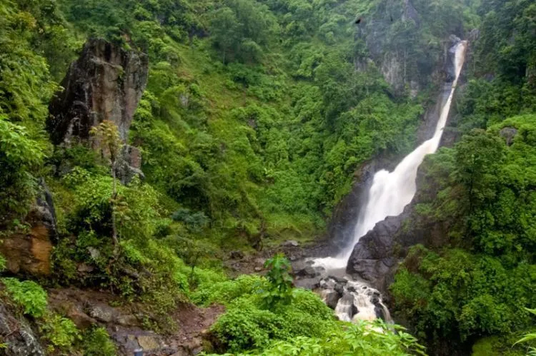 11 Destinasi Wisata Ponorogo, Pesona Alam yang Indah Banget 15