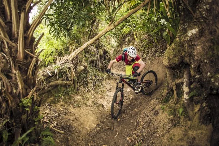 8 Alasan Kenapa Blusukan Pakai Sepeda Gunung Bisa Jadi Alternatif Aktivitas Outdoor yang Asyik 14