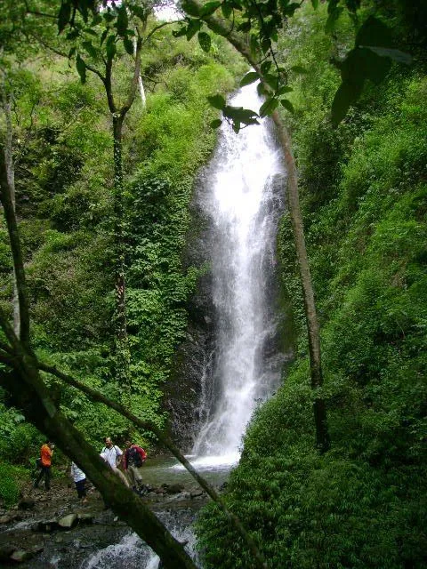 11 Destinasi Wisata Ponorogo, Pesona Alam yang Indah Banget 13