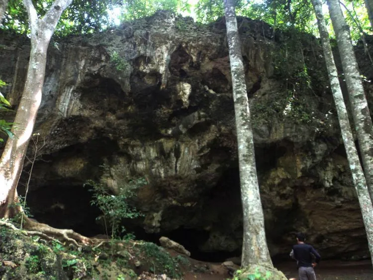 11 Destinasi Wisata Ponorogo, Pesona Alam yang Indah Banget 18