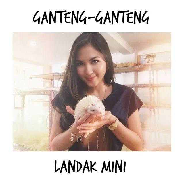 10 Pilihan Judul yang Bisa Dipakai Kalau Sinetron Ganteng-Ganteng Serigala Diadaptasi Jadi Film 22