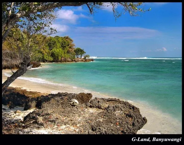 Daftar Pantai di Jawa Timur, Nggak Kalah Indah dengan Pantai di Wilayah Lain 18