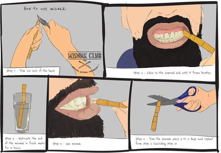 Kenapa Kamu Harus Mempertimbangkan Mengganti Sikat & Pasta Gigimu Dengan Siwak 8 http://miswakclub.com/how-to/