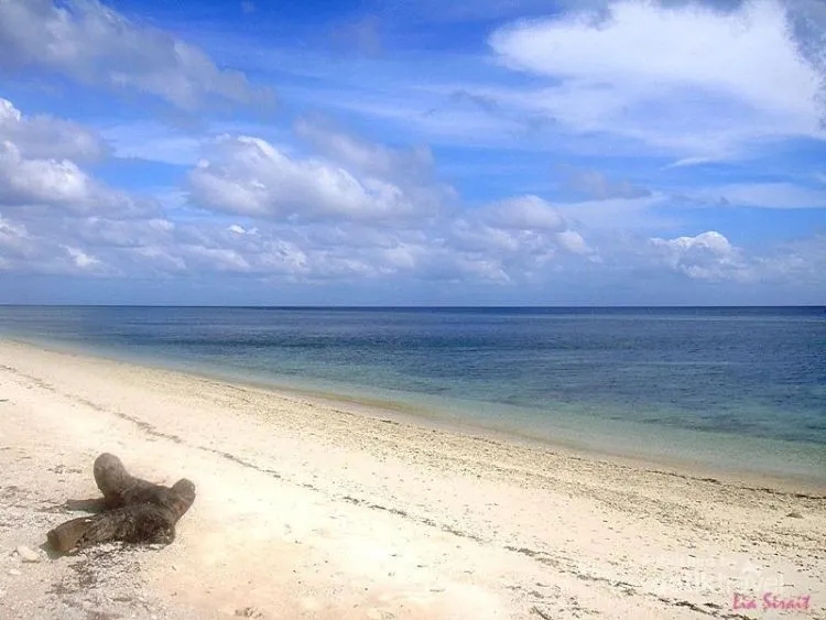 12 Destinasi Wisata Wakatobi, Permata Laut Banda yang Wajib Kamu Kunjungi 21