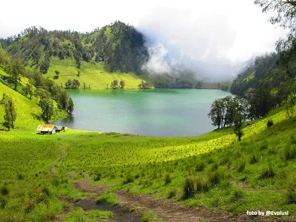 Wahai Pendaki Pemula, Ini 5 Alasan Ranu Kumbolo Layak Jadi Destinasi Pendakian Pertama Kamu! 10