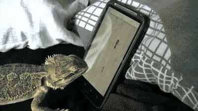 Beragam Kegunaan Smartphone Buat Kamu yang Gak Punya Pacar Buat Dihubungi (Baca: Jomblo!) 18