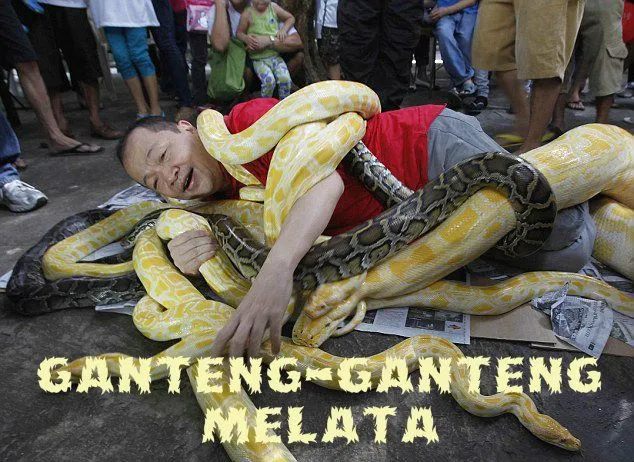 10 Pilihan Judul yang Bisa Dipakai Kalau Sinetron Ganteng-Ganteng Serigala Diadaptasi Jadi Film 14