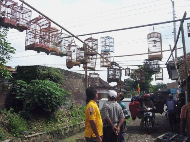 Berbagai Kenangan Konyol dan Ngilu Tentang Sunat yang Cuma Dirasakan oleh Para Cowok 38
