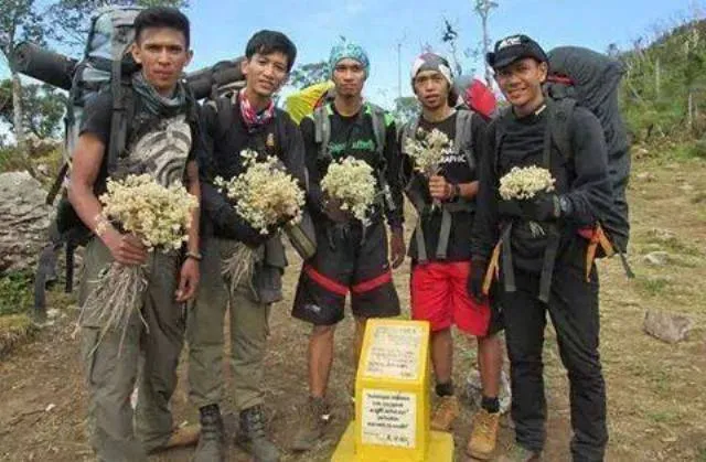 Saat Menyambangi Tempat-Tempat Wisata, Kamu Wajib Jadi Traveler Yang Bijaksana 9