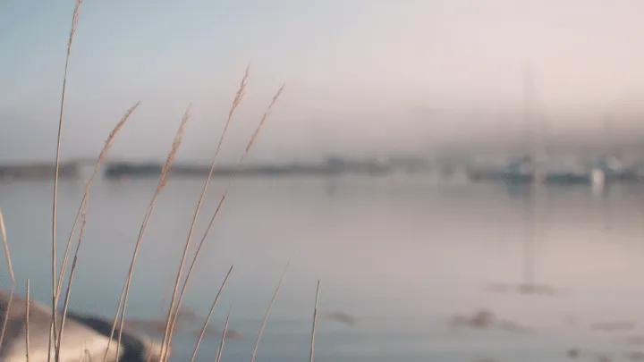 Abadikan Momen Indah Dalam Hidupmu Dengan Cinemagraph: Kombinasi Antara Fotografi dan Videografi 9