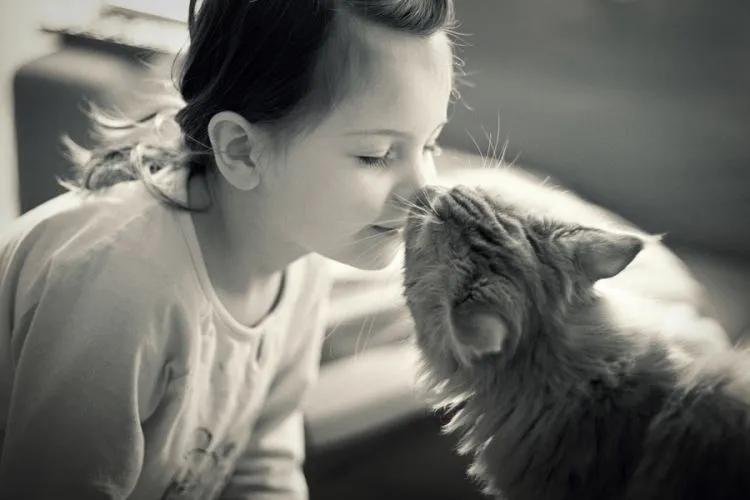 8 Hal Sehari-hari yang Hanya Dimengerti Oleh Kamu Para Pecinta Kucing 11