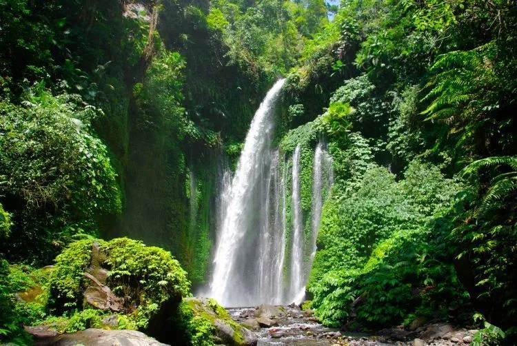 15 Destinasi Air Terjun yang Harus Kamu Kunjungi di Seluruh Indonesia 20