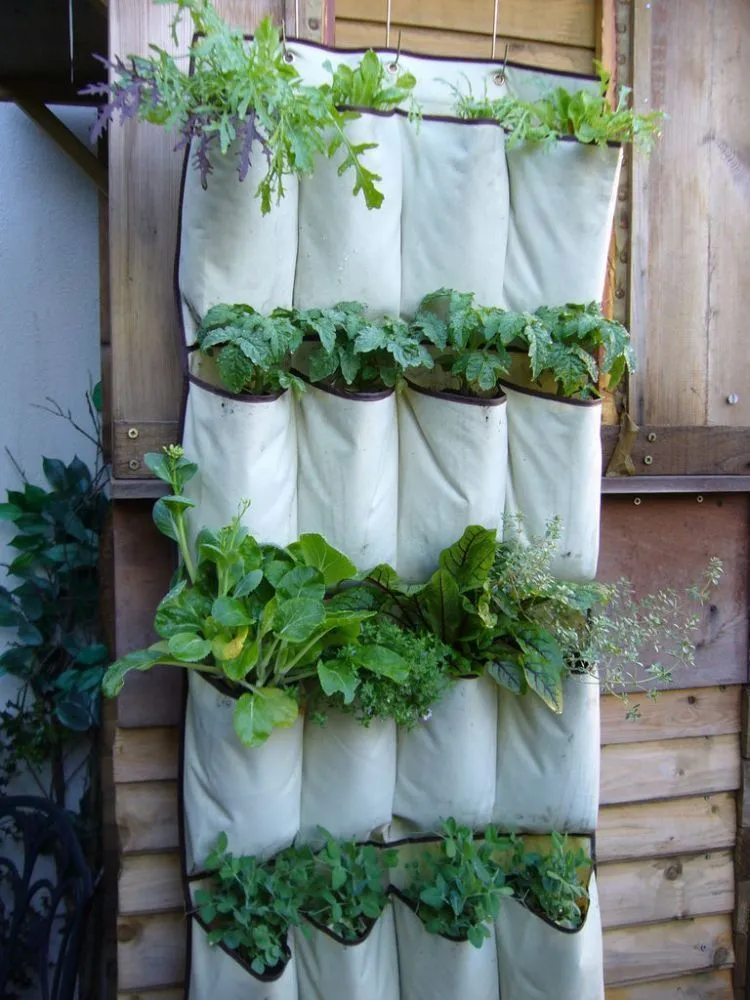 Dengan 9 Cara Kreatif Ini, Kamu Bisa Berkebun Walaupun Tidak Punya Kebun! 16