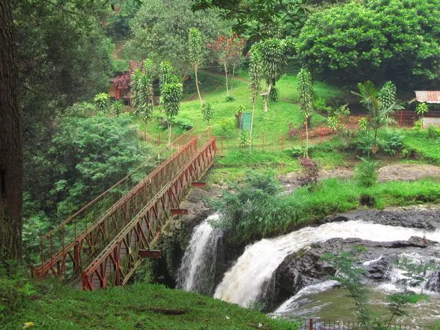 Dari Jogja Sampai Surabaya, Kota-Kota Ini Punya Hutan Indah Untuk Destinasi Jalan-Jalanmu Pekan Ini! 14