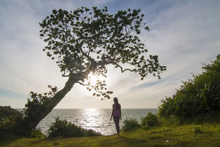 Jogja dan 10 Pantai Indahnya yang Tidak Pernah Bosan Dipandang Mata 14