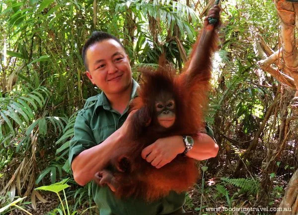 9 Profesi (Selain Traveler) yang Akan Rela Membayarmu Menyaksikan Indahnya Indonesia 12