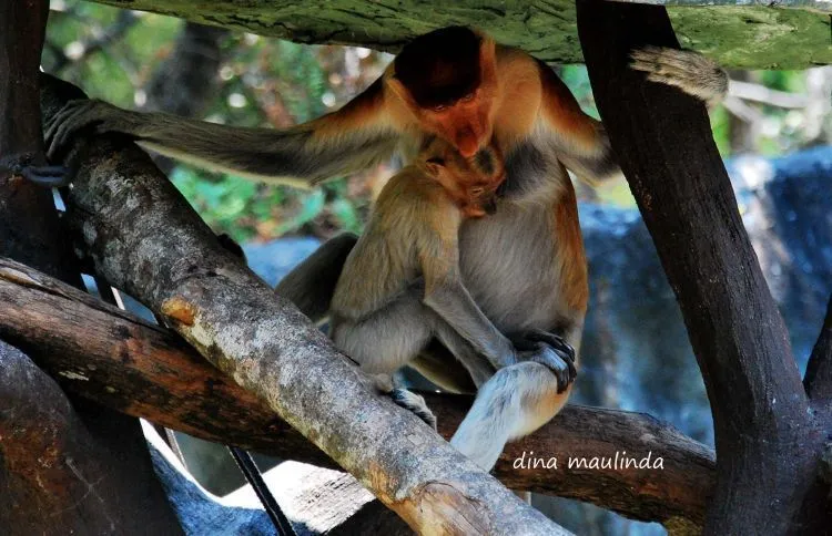 8 Destinasi Wisata Edukasi di Jawa Timur yang Bakal Memperkaya Wawasanmu 9