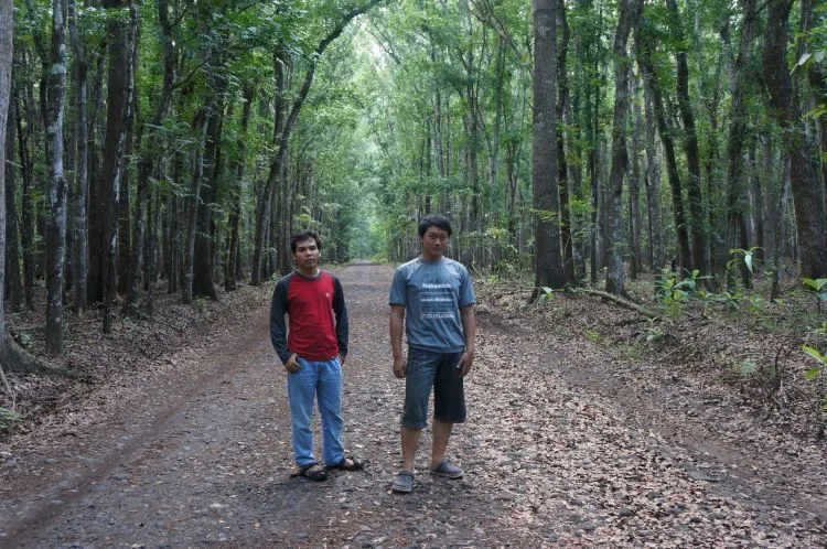 Dari Jogja Sampai Surabaya, Kota-Kota Ini Punya Hutan Indah Untuk Destinasi Jalan-Jalanmu Pekan Ini! 13