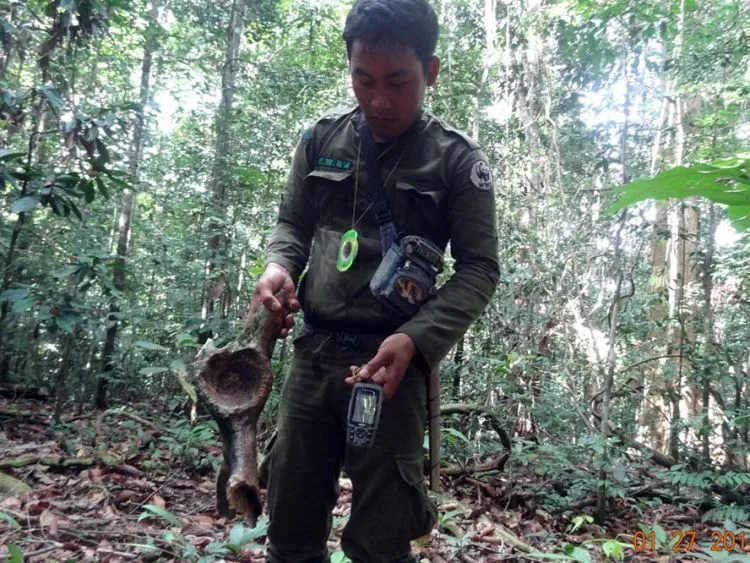 9 Profesi yang Tepat Untukmu yang Mendaki Sebagai Kebutuhan Hati 13