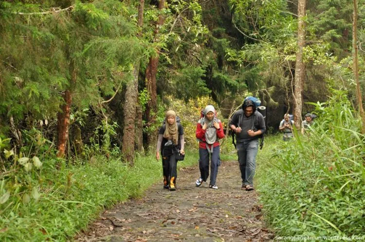Alasan-Alasan Kenapa Kamu Harus Menjajal Mendaki Gunung Sesekali 11
