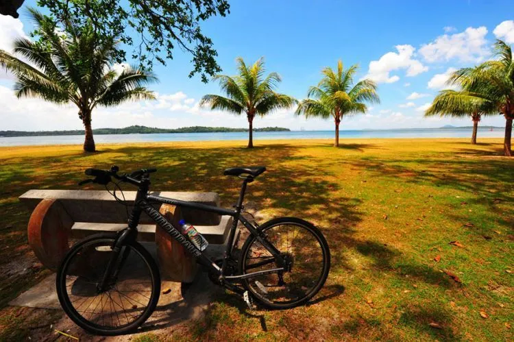 12 Destinasi Wisata di Singapura yang Bisa Kamu Nikmati Tanpa Mengeluarkan Biaya 23
