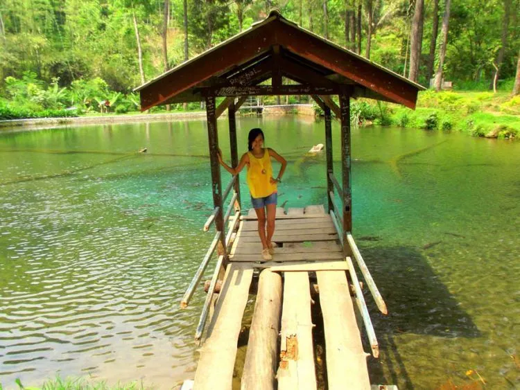 10+ Destinasi Wisata di Blitar, Suasana Alam Indah dan Bisa Belajar Sejarah 21