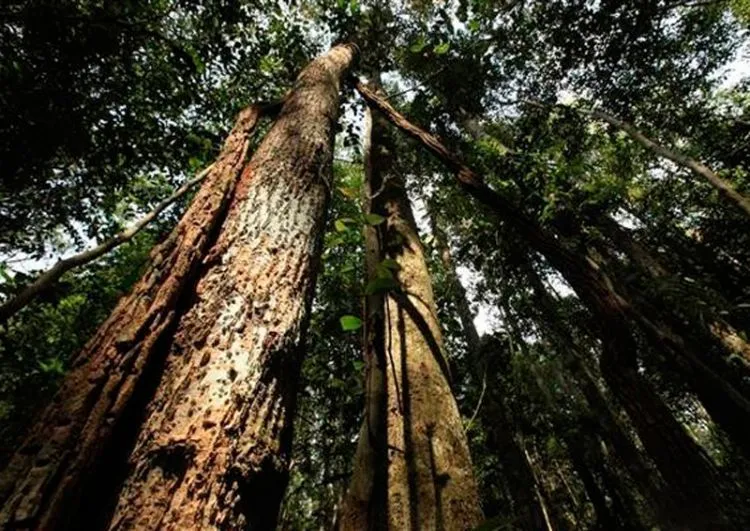 Destinasi Wisata Riau yang Patut Kamu Cumbu Saat Menjelajah Tanah Melayu 16