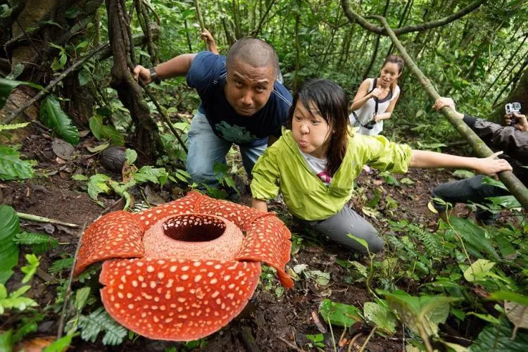 11 Destinasi Wisata Sumatera Barat, Sajikan Pemandangan yang Rupawan 15