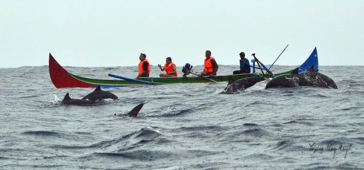 Teluk Kiluan, Destinasi Ciamik di Lampung Selatan yang Bisa Kamu Datangi Hanya Dengan 600 Ribuan 13